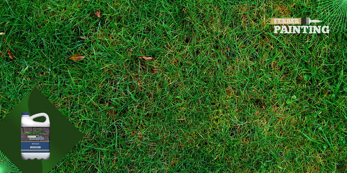 Comment se débarrasser des mauvaises herbes dans mon gazon ?