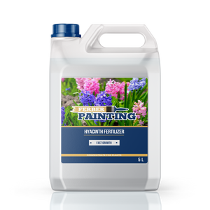 Engrais pour jacinthe