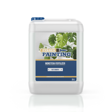 Engrais pour monstera