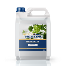 Engrais pour monstera