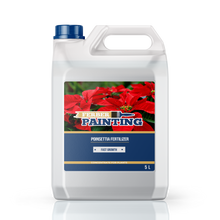 Engrais pour poinsettia