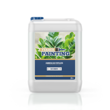 Engrais pour zamioculcas